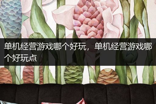 单机经营游戏哪个好玩，单机经营游戏哪个好玩点