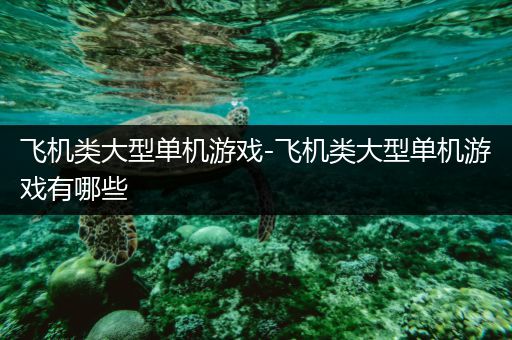 飞机类大型单机游戏-飞机类大型单机游戏有哪些