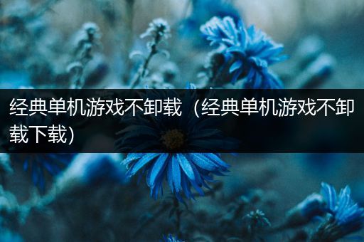 经典单机游戏不卸载（经典单机游戏不卸载下载）