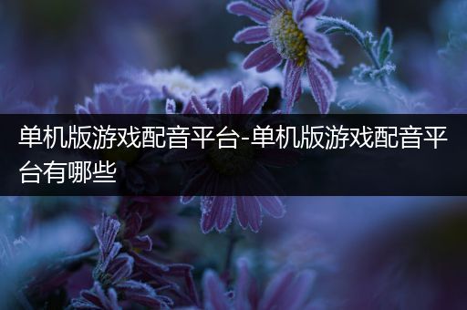 单机版游戏配音平台-单机版游戏配音平台有哪些