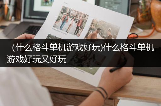 （什么格斗单机游戏好玩)什么格斗单机游戏好玩又好玩