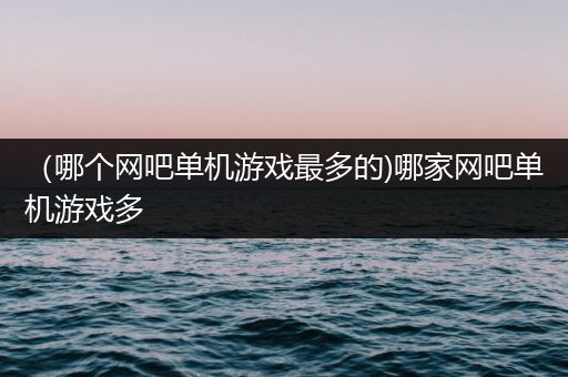 （哪个网吧单机游戏最多的)哪家网吧单机游戏多