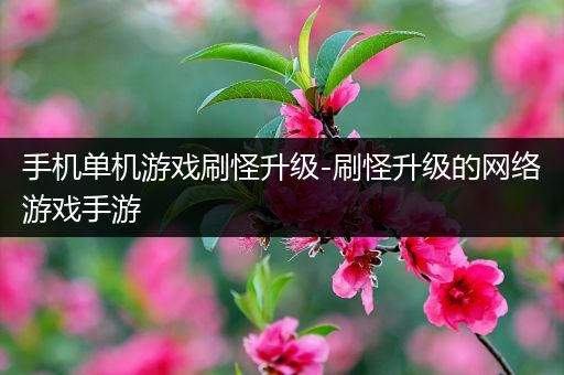 手机单机游戏刷怪升级-刷怪升级的网络游戏手游