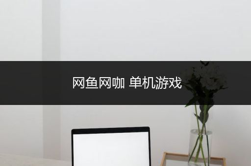 网鱼网咖 单机游戏