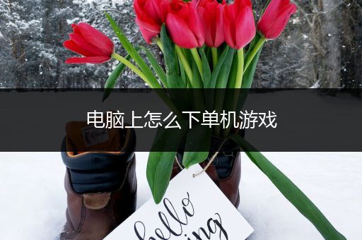 电脑上怎么下单机游戏