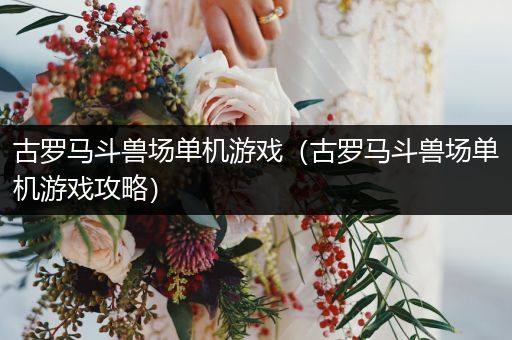 古罗马斗兽场单机游戏（古罗马斗兽场单机游戏攻略）