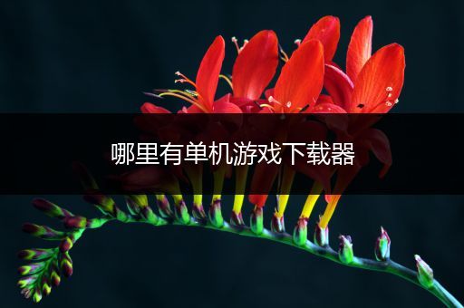 哪里有单机游戏下载器