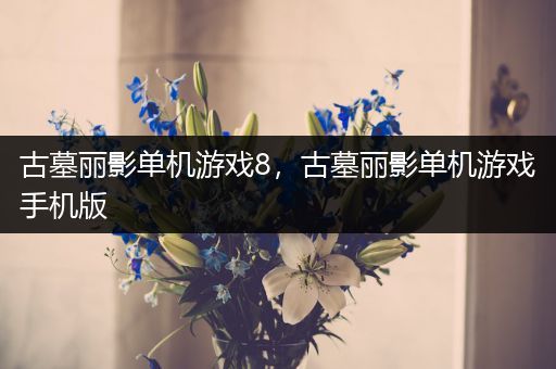 古墓丽影单机游戏8，古墓丽影单机游戏手机版