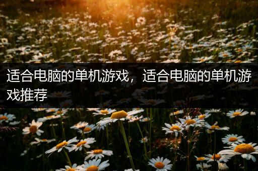 适合电脑的单机游戏，适合电脑的单机游戏推荐