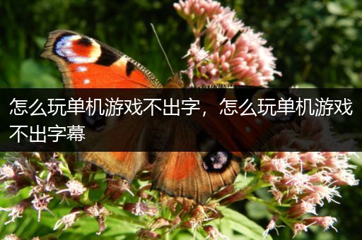 怎么玩单机游戏不出字，怎么玩单机游戏不出字幕