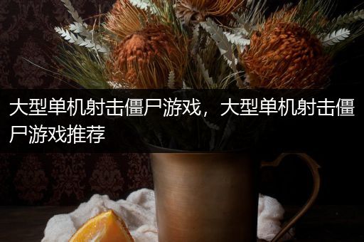 大型单机射击僵尸游戏，大型单机射击僵尸游戏推荐