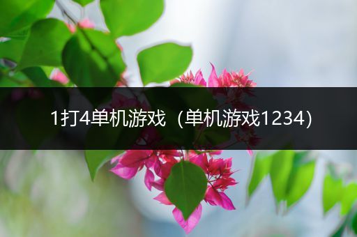 1打4单机游戏（单机游戏1234）