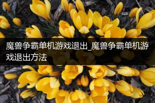 魔兽争霸单机游戏退出_魔兽争霸单机游戏退出方法