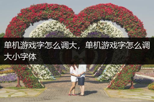 单机游戏字怎么调大，单机游戏字怎么调大小字体