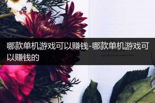 哪款单机游戏可以赚钱-哪款单机游戏可以赚钱的
