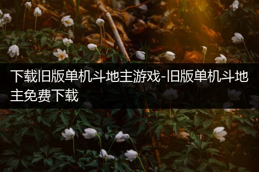 下载旧版单机斗地主游戏-旧版单机斗地主免费下载