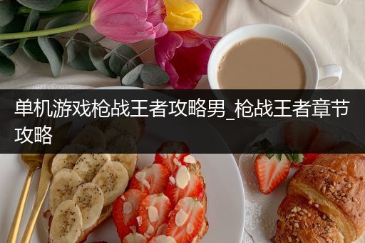 单机游戏枪战王者攻略男_枪战王者章节攻略