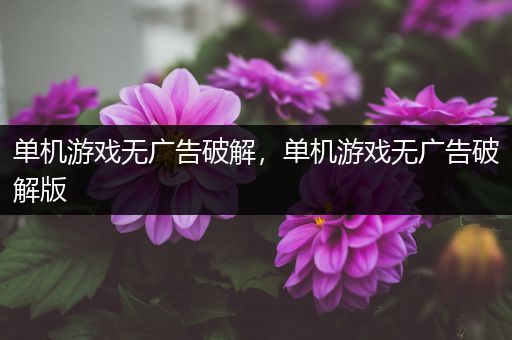 单机游戏无广告破解，单机游戏无广告破解版