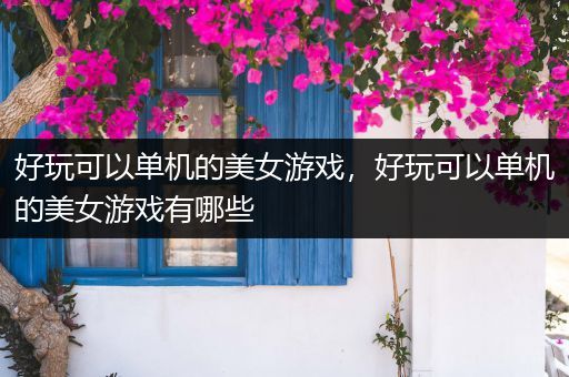 好玩可以单机的美女游戏，好玩可以单机的美女游戏有哪些