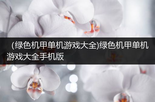 （绿色机甲单机游戏大全)绿色机甲单机游戏大全手机版