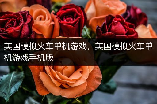美国模拟火车单机游戏，美国模拟火车单机游戏手机版