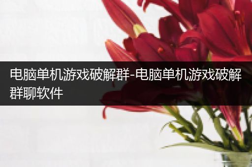 电脑单机游戏破解群-电脑单机游戏破解群聊软件