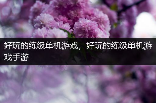 好玩的练级单机游戏，好玩的练级单机游戏手游
