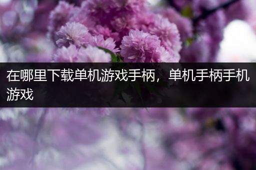 在哪里下载单机游戏手柄，单机手柄手机游戏