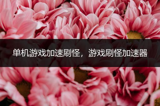单机游戏加速刷怪，游戏刷怪加速器