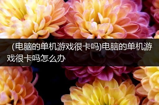 （电脑的单机游戏很卡吗)电脑的单机游戏很卡吗怎么办