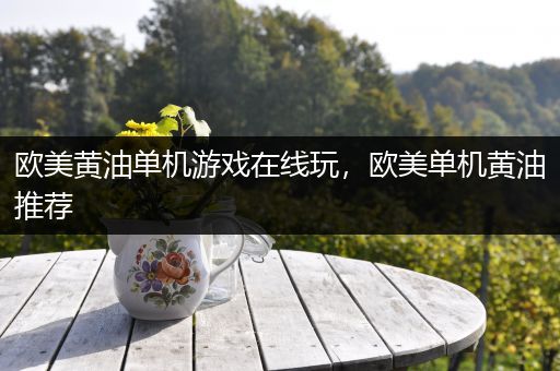 欧美黄油单机游戏在线玩，欧美单机黄油推荐