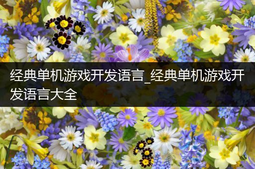 经典单机游戏开发语言_经典单机游戏开发语言大全