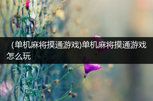 （单机麻将摸通游戏)单机麻将摸通游戏怎么玩
