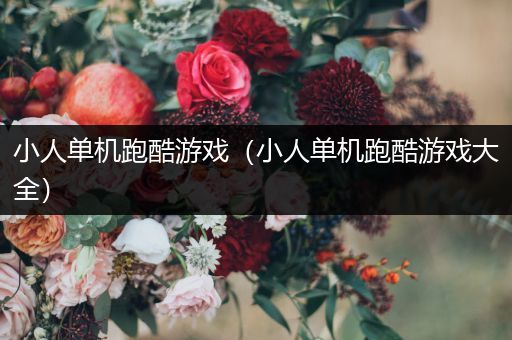 小人单机跑酷游戏（小人单机跑酷游戏大全）