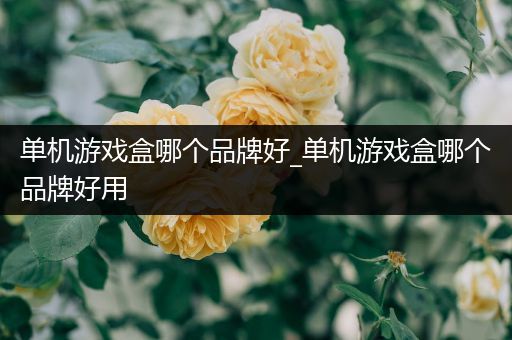 单机游戏盒哪个品牌好_单机游戏盒哪个品牌好用