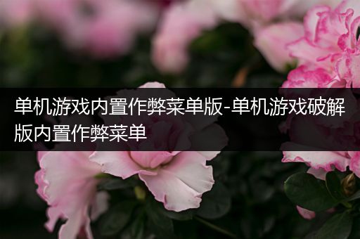 单机游戏内置作弊菜单版-单机游戏破解版内置作弊菜单