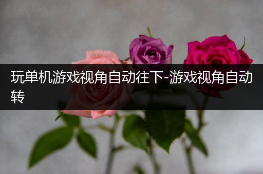 玩单机游戏视角自动往下-游戏视角自动转