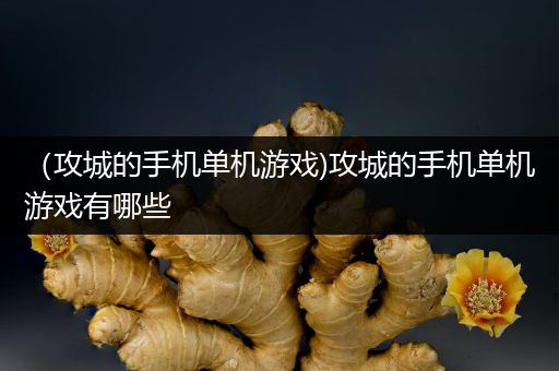 （攻城的手机单机游戏)攻城的手机单机游戏有哪些