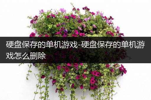 硬盘保存的单机游戏-硬盘保存的单机游戏怎么删除