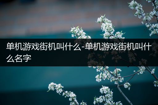 单机游戏街机叫什么-单机游戏街机叫什么名字