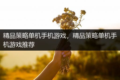 精品策略单机手机游戏，精品策略单机手机游戏推荐