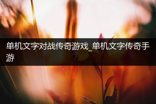 单机文字对战传奇游戏_单机文字传奇手游
