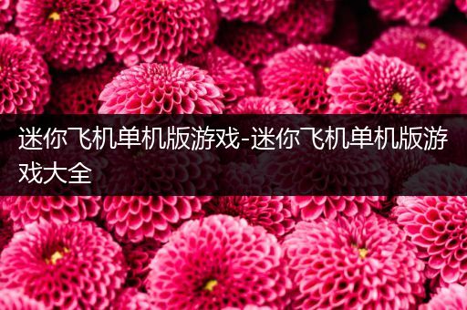迷你飞机单机版游戏-迷你飞机单机版游戏大全