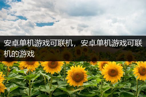 安卓单机游戏可联机，安卓单机游戏可联机的游戏