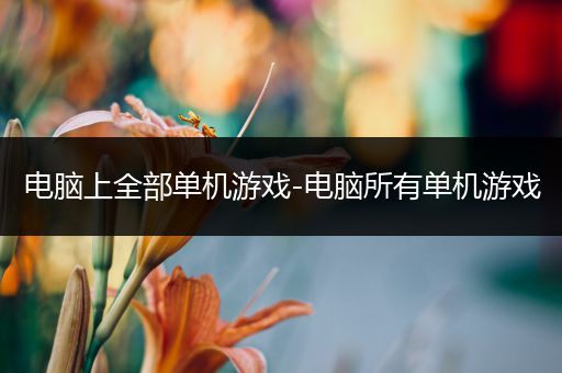 电脑上全部单机游戏-电脑所有单机游戏