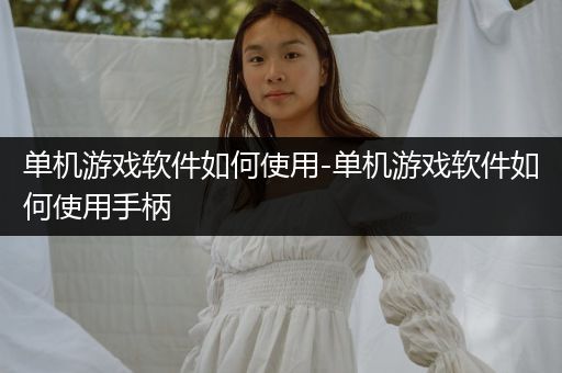 单机游戏软件如何使用-单机游戏软件如何使用手柄