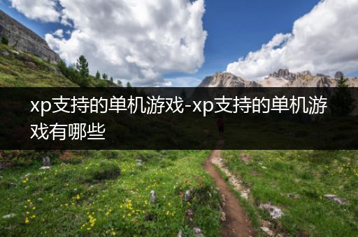 xp支持的单机游戏-xp支持的单机游戏有哪些