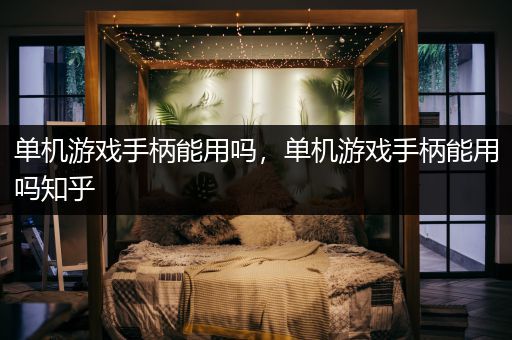单机游戏手柄能用吗，单机游戏手柄能用吗知乎