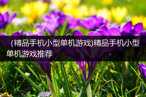 （精品手机小型单机游戏)精品手机小型单机游戏推荐