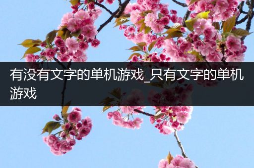 有没有文字的单机游戏_只有文字的单机游戏